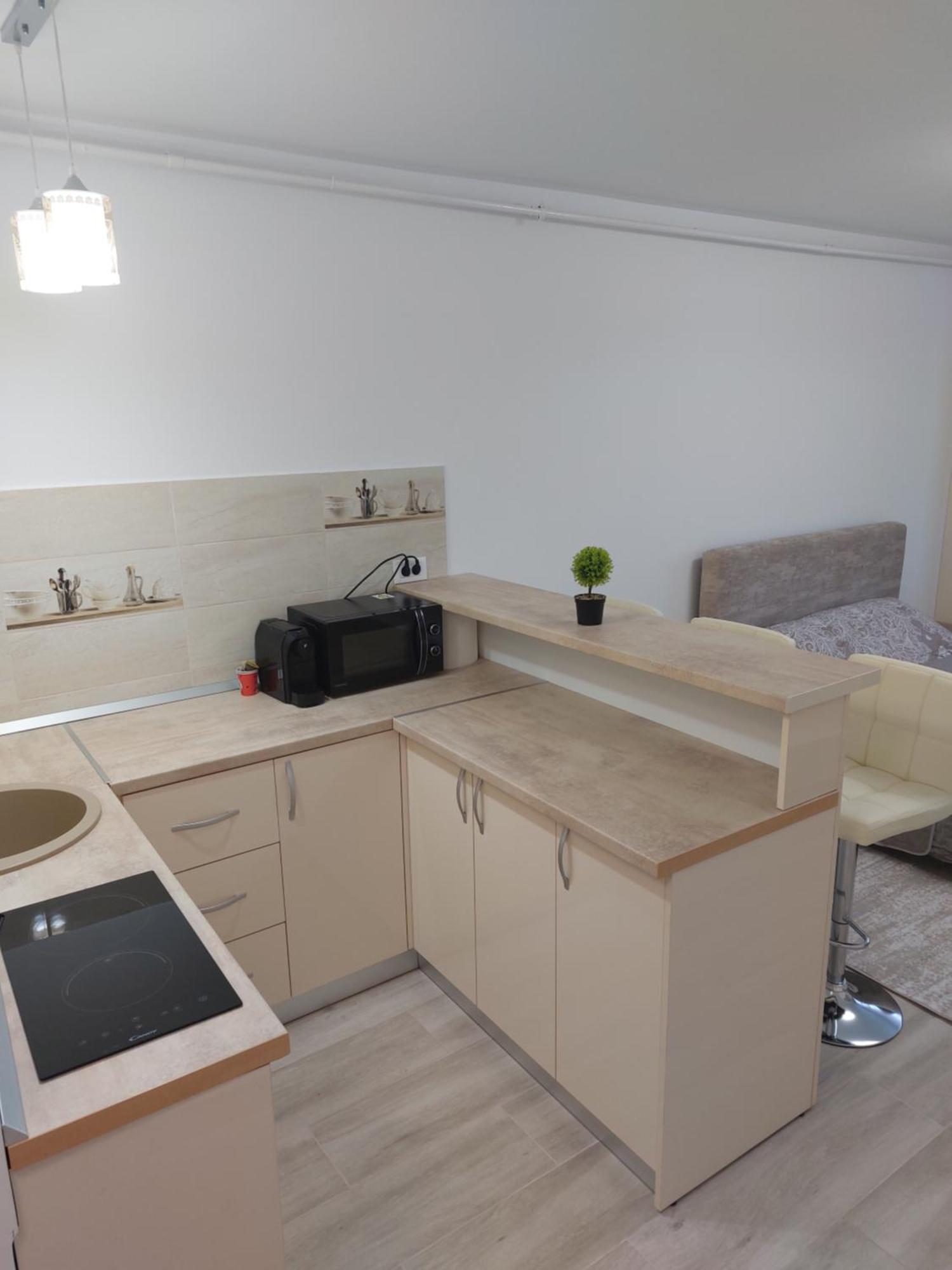 Rg Garsoniera Central Piatra Neamţ Dış mekan fotoğraf