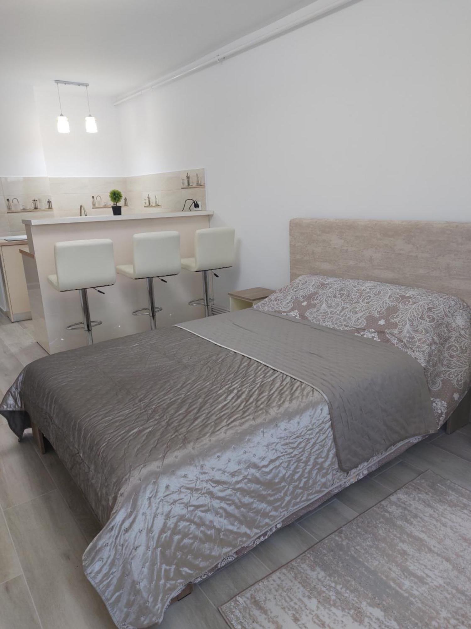 Rg Garsoniera Central Piatra Neamţ Dış mekan fotoğraf
