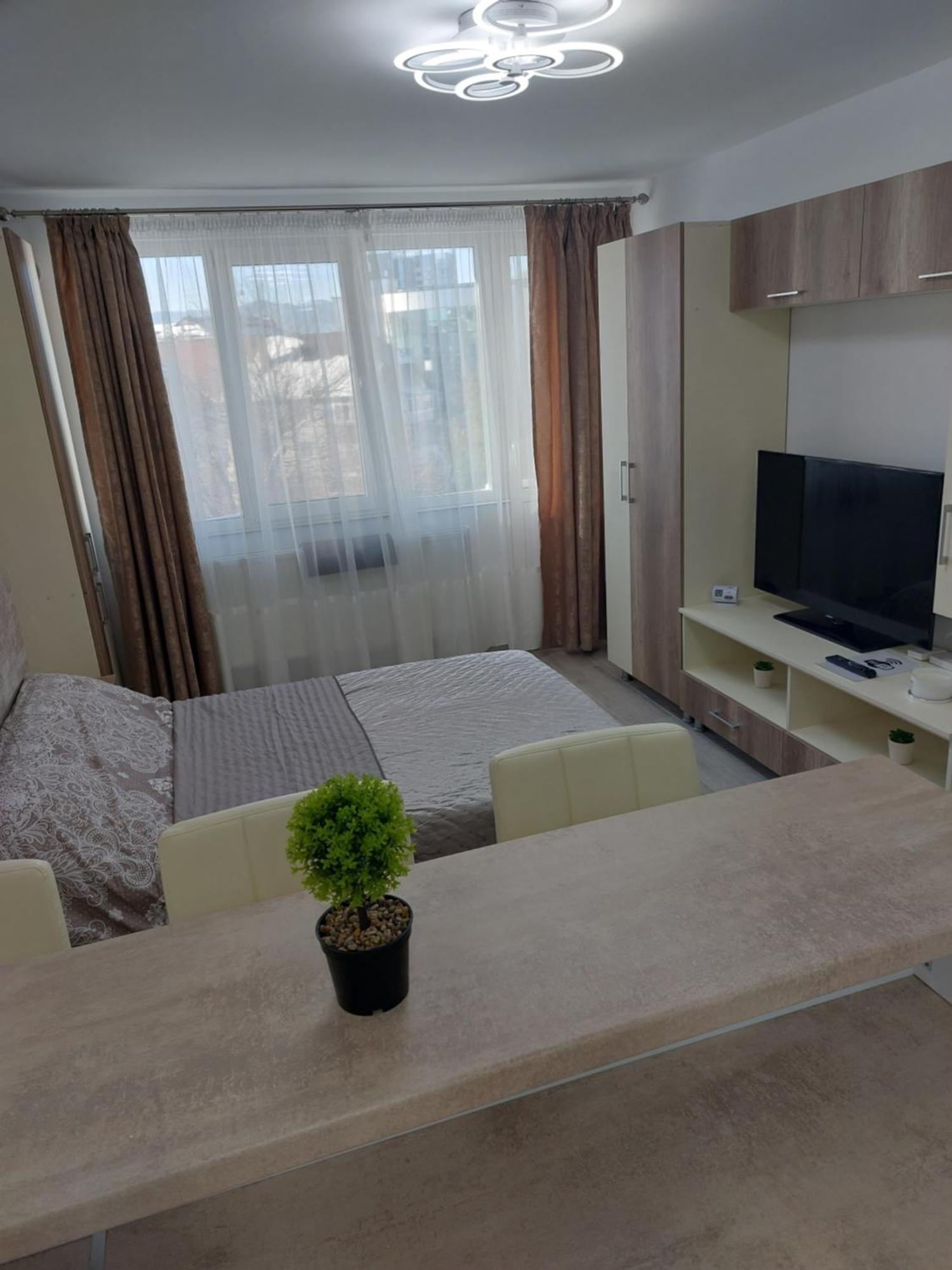 Rg Garsoniera Central Piatra Neamţ Dış mekan fotoğraf